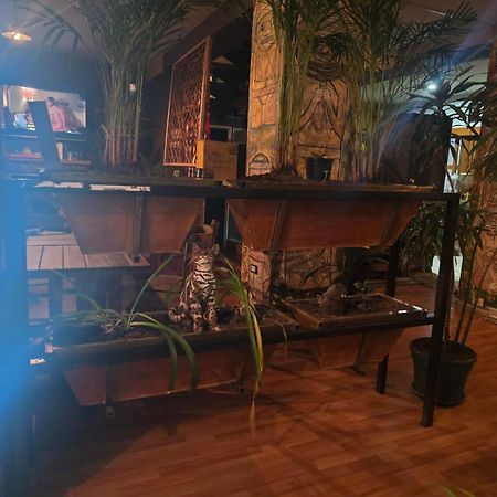 Portelli Hostal Zona G- Para Extranjeros Bogota Bagian luar foto