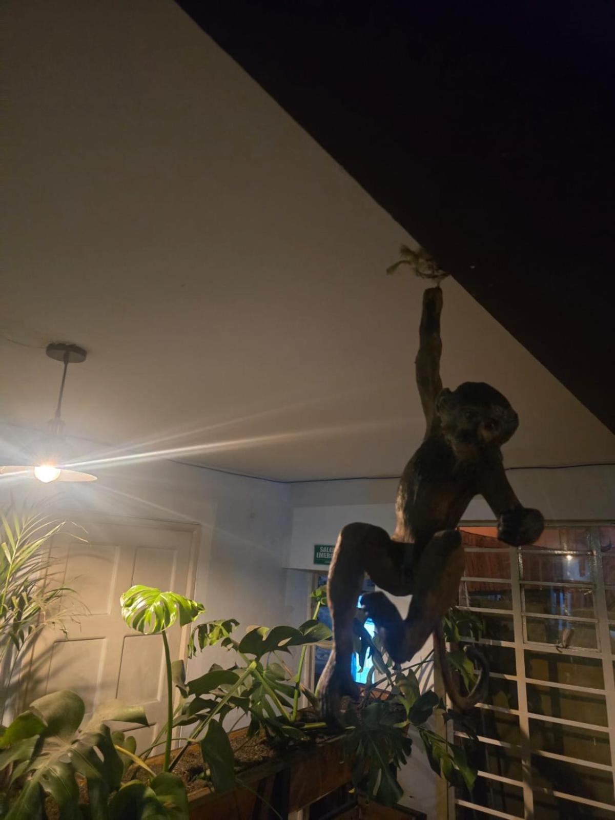 Portelli Hostal Zona G- Para Extranjeros Bogota Bagian luar foto